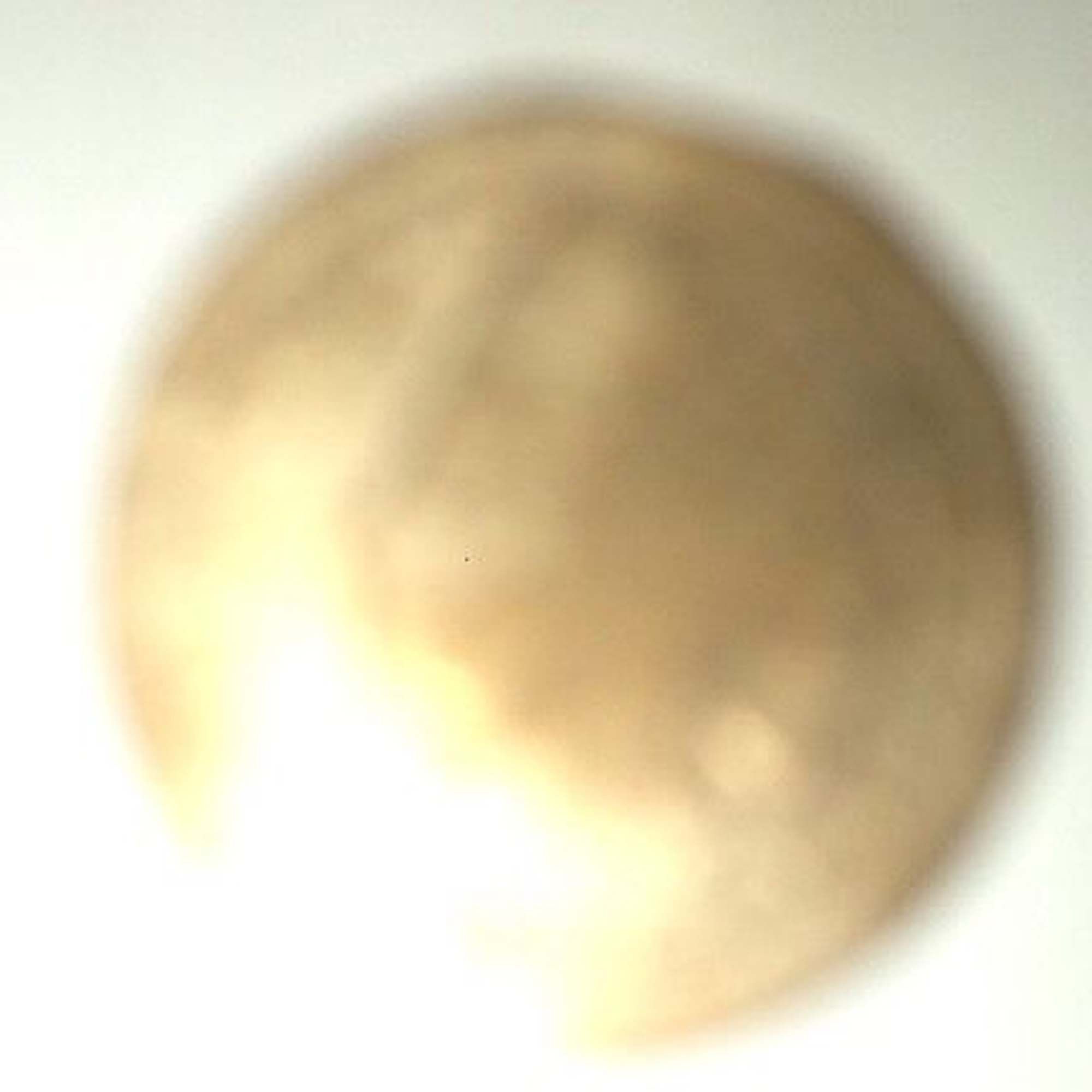 Fun-Thread---Worst-Coins-On-Ebay,-Etsy,-Craigslist,-And-Other-Buying-Sites!